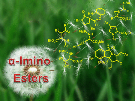 ارائه یافته‌های شیمیدانان ایرانی در سنتز ترکیبات آلی در مجله انجمن شیمی آمریکا